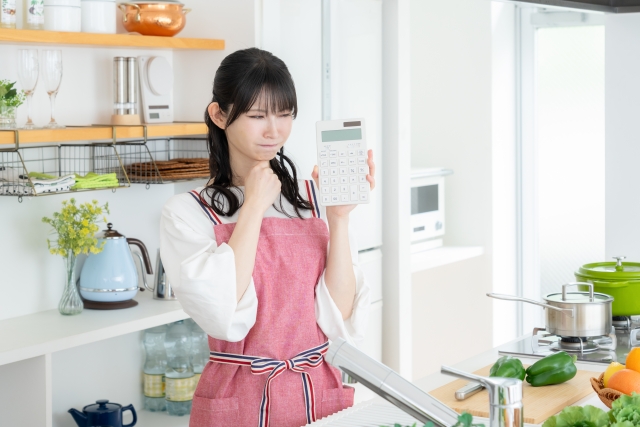 家計 見直し